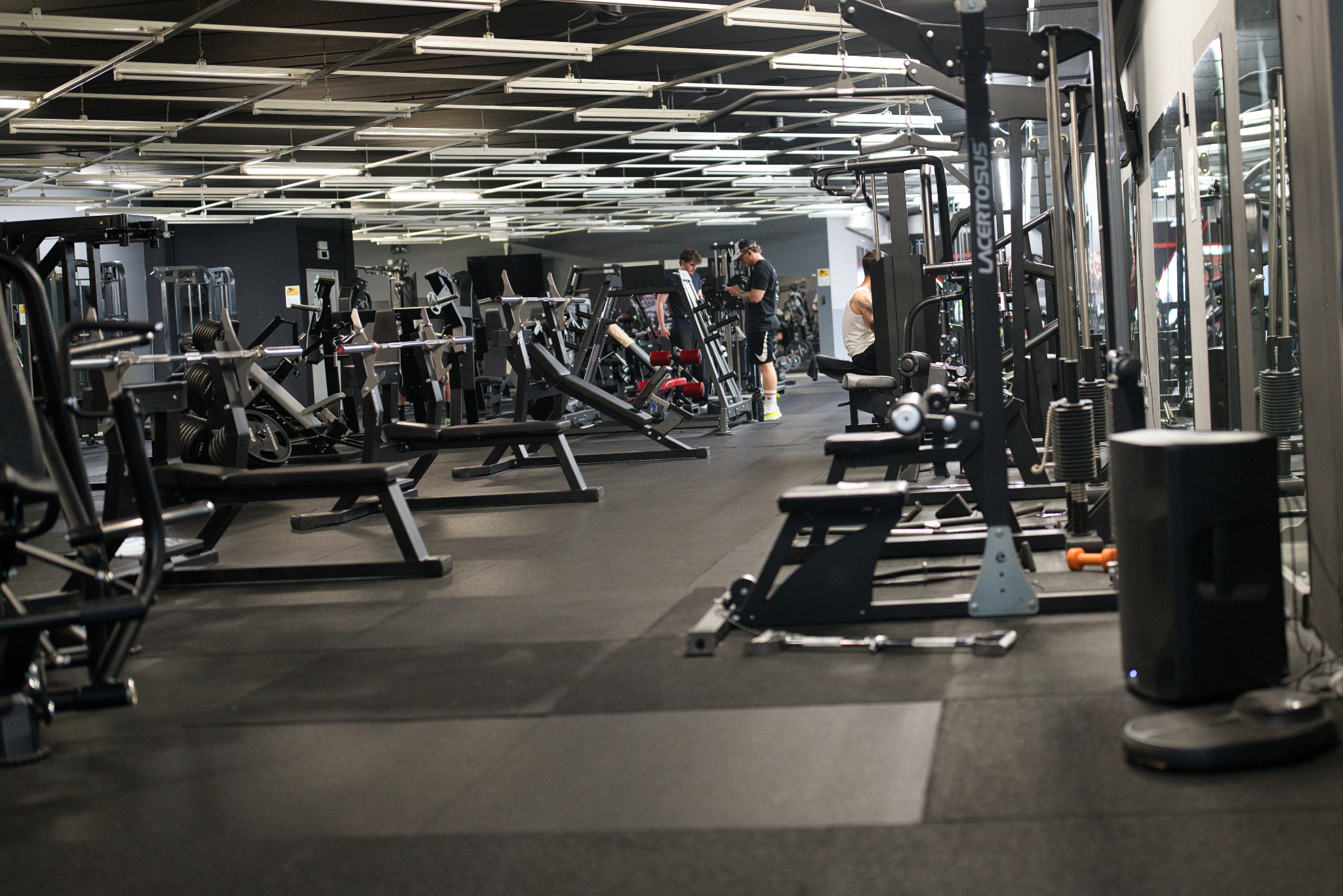 La sala pesi RippedBody a Bussolengo